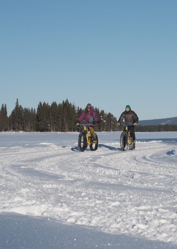 Fatbike tours in lapland